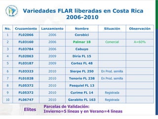 Programa de mejoramiento genetico Flar