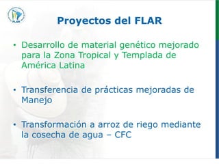 Programa de mejoramiento genetico Flar