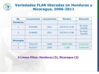Programa de mejoramiento genetico Flar
