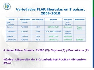 Programa de mejoramiento genetico Flar