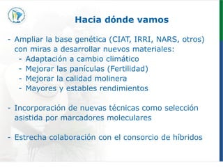 Programa de mejoramiento genetico Flar