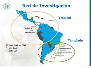Programa de mejoramiento genetico Flar