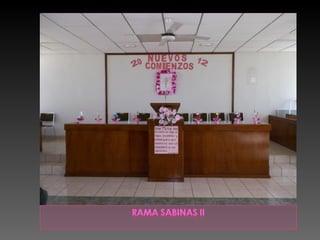 Programa de nuevos comienzos 2012