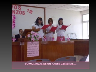 Programa de nuevos comienzos 2012