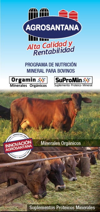 Alta Calidad y 
Rentabilidad 
PROGRAMA DE NUTRICIÓN 
MINERAL PARA BOVINOS 
Minerales Orgánicos 
Suplementos Proteicos Minerales 
 