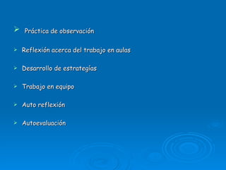 Práctica de observación Reflexión acerca del trabajo en aulas Desarrollo de estrategías Trabajo en equipo Auto reflexión Autoevaluación 