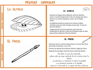 el pincel
Hacemos como si nuestra lengua fuese un pincel que tiene
que pintar los dientes, uno a uno.
Primero los dientes de arriba por dentro; luego por fuera.
Después los de abajo, tanto por fuera como por dentro.
Para darle una nota más entretenida,
podemos pedir que vayan cambiando de color mientras pintan los
dientes;
así estimulamos su imaginación al realizar la actividad
y se entretienen pensando en la actividad,
porque por sí sola puede ser un poquito más lenta y laboriosa.
la almeja
Sacamos la lengua hacia adelante, entre los dientes,
como si nuestra lengua fuera la de una almeja que sale y
entra en su concha, despacio, suave, con la lengua
ancha.
Lo podemos practicar primero con la boca y labios
cerrados y que sea sólo la lengua la que sale, sin que se
vean los dientes.
Luego hacemos el mismo ejercicio, pero esta vez
enseñando los dientes; y que sea la lengua la que se abra
paso ancha y despacio entre los dientes.
La Almeja
PRAXIAS LINGUALES
El Pincel
praxiaslingualespraxiaslinguales
 
