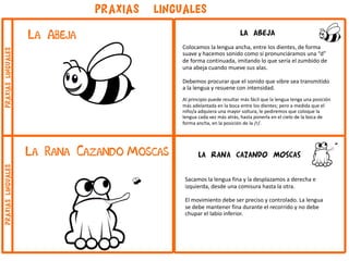 la rana cazando moscas
Sacamos la lengua fina y la desplazamos a derecha e
izquierda, desde una comisura hasta la otra.
El movimiento debe ser preciso y controlado. La lengua
se debe mantener fina durante el recorrido y no debe
chupar el labio inferior.
LA ABEJA
Colocamos la lengua ancha, entre los dientes, de forma
suave y hacemos sonido como si pronunciáramos una “d”
de forma continuada, imitando lo que sería el zumbido de
una abeja cuando mueve sus alas.
Debemos procurar que el sonido que vibre sea transmitido
a la lengua y resuene con intensidad.
Al principio puede resultar más fácil que la lengua tenga una posición
más adelantada en la boca entre los dientes; pero a medida que el
niño/a adquiera una mayor soltura, le pediremos que coloque la
lengua cada vez más atrás, hasta ponerla en el cielo de la boca de
forma ancha, en la posición de la /r/.
La Abeja
PRAXIAS LINGUALES
La Rana Cazando Moscas
praxiaslingualespraxiaslinguales
 