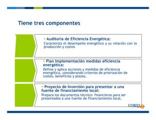 Tiene tres componentes
d d
Tiene tres componentes
Auditoría de Eficiencia Energética:
Caracteriza el desempeño energético y su relación con la
producción y costos
Plan Implementación medidas eficiencia
energética:
Define y aplica acciones y medidas de eficiencia
energética, considerando criterios de priorización de
costos, beneficios y plazos.
Proyecto de Inversión para presentar a una
fuente de financiamiento local:
Prepara los documentos técnico- financieros para ser
presentados a una fuente de financiamiento localpresentados a una fuente de financiamiento local.
 