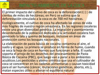 El primer impacto del cultivo de coca es la deforestación1||| de
cientos de miles de hectáreas; en Perú se estima que la
deforestación vinculada a la coca es de 700 mil hectáreas.
Ecológicamente, el cultivo de coca ha afectado las zonas de vida
más frágiles de nuestra región amazónica. En las regiones cocaleras
existe una gran diversidad genética. La migración y asentamiento
desordenado de la población dedicada a la actividad cocalera han
generado la tala y quema de bosques, inclusive en áreas de
protección como los bosques nacionales.
La elaboración de pasta básica de cocaína contamina el aire, el
suelo y el agua. La primera se produce en forma de humo, cuando
se seca la hoja de coca en hornos que funcionan a leña. El suelo
soporta el arrojo de los desechos del procesamiento de Pasta
Básica de Cocaína (PBC), que luego van a parar a los ambientes
acuáticos.Los pesticidas y abono sintético que usa el cultivador de
coca se concentran en las cadenas alimentarias y causan toxicidad
para el ser humano (cáncer, mutaciones genéticas, aborto, etc.),
matan especies útiles y alteran el equilibrio natural
IMPACTO AMBIENTAL DE LA COCA
 