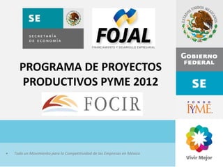 PROGRAMA DE PROYECTOS
       PRODUCTIVOS PYME 2012




•   Todo un Movimiento para la Competitividad de las Empresas en México
 