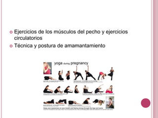  Ejercicios de los músculos del pecho y ejercicios
circulatorios
 Técnica y postura de amamantamiento
 