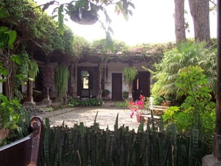 Programa de salud publica ii