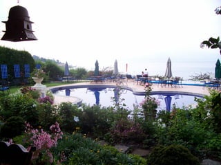 Programa de salud publica ii