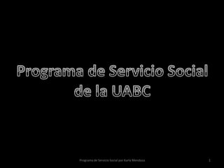 Programa de Servicio Social por Karla Mendoza   1
 
