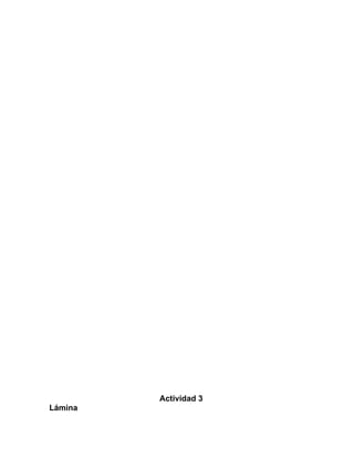 Actividad 3
Lámina
 