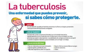 PROGRAMA DE TB.pdf