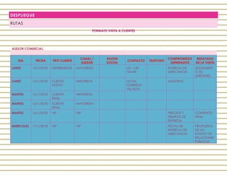 DESPLIEGUE
RUTAS
ASESOR COMERCIAL:
DIA FECHA TIPO CLIENTE
CANAL /
ASESOR
RAZON
SOCIAL
CONTACTO TELEFONO
COMPROMISOS
GENERADOS
RESULTADO
DE LA VISITA
LUNES 15/1/2018 DISTRIBUIDOR MAYORISTA LIC. LUIS
OMAR
ENTREGA DE
MERCANCIA
SEGUIMIENT
O DE
UNIDADES
LUNES 15/1/2018 CLIENTE
NUEVO
MINORISTA LICDA.
GABRIELA
VILLALTA
MUESTRAS
MARTES 16/1/2018 CLIENTE
FINAL
MINORISTA
MARTES 16/1/2018 CLIENTE
FINAL
MAYORISTA
MARTES 16/1/2018 VIP VIP PRECIOS Y
TIEMPOS DE
ENTREGA
CONTRATO
FINAL
MIERCOLES 17/1/2018 VIP VIP FECHA DE
ENTREGA DE
MERCANCIA
PROPUESTA
DE UN
EVENTO DE
RELACIONES
PUBLICAS
 