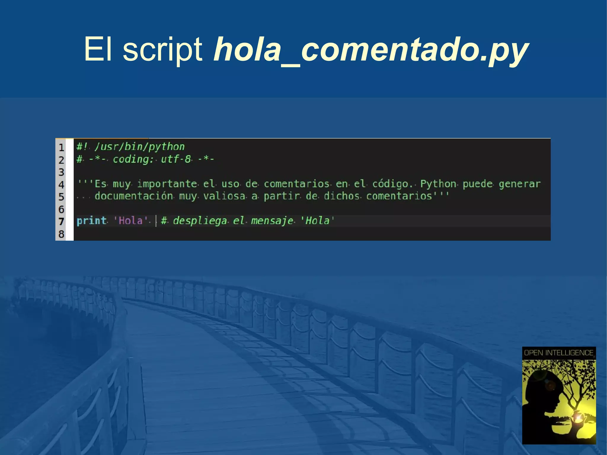 El script hola_comentado.py

 