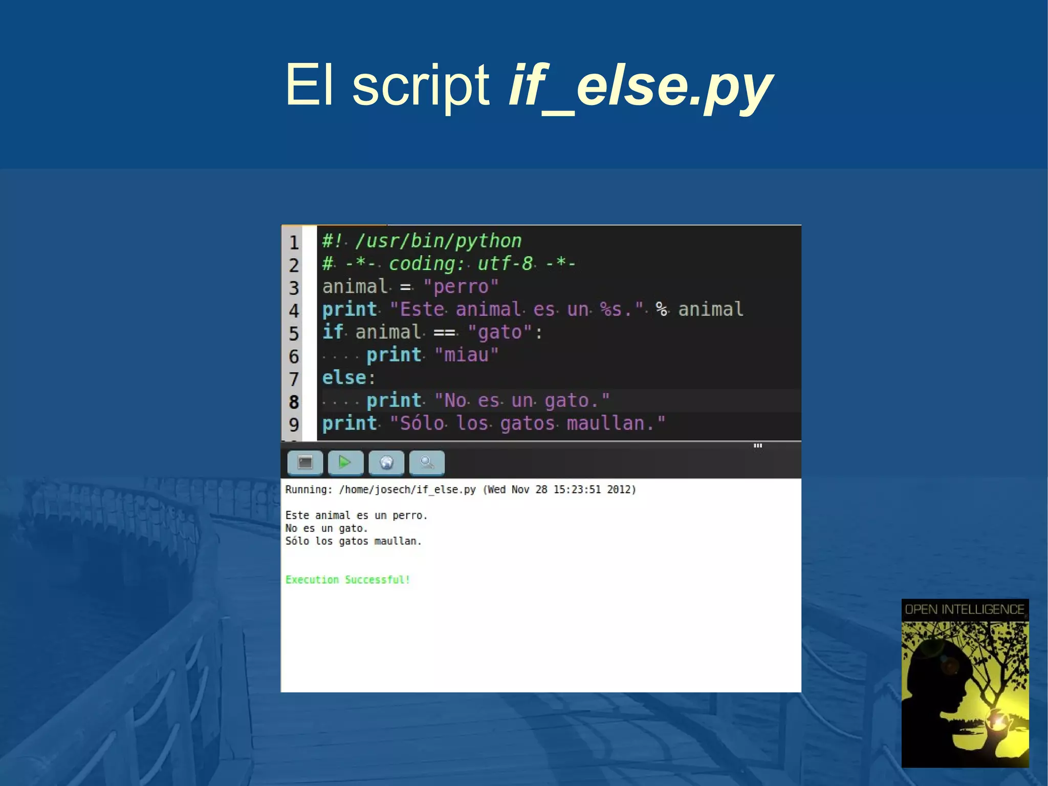El script if_else.py

 
