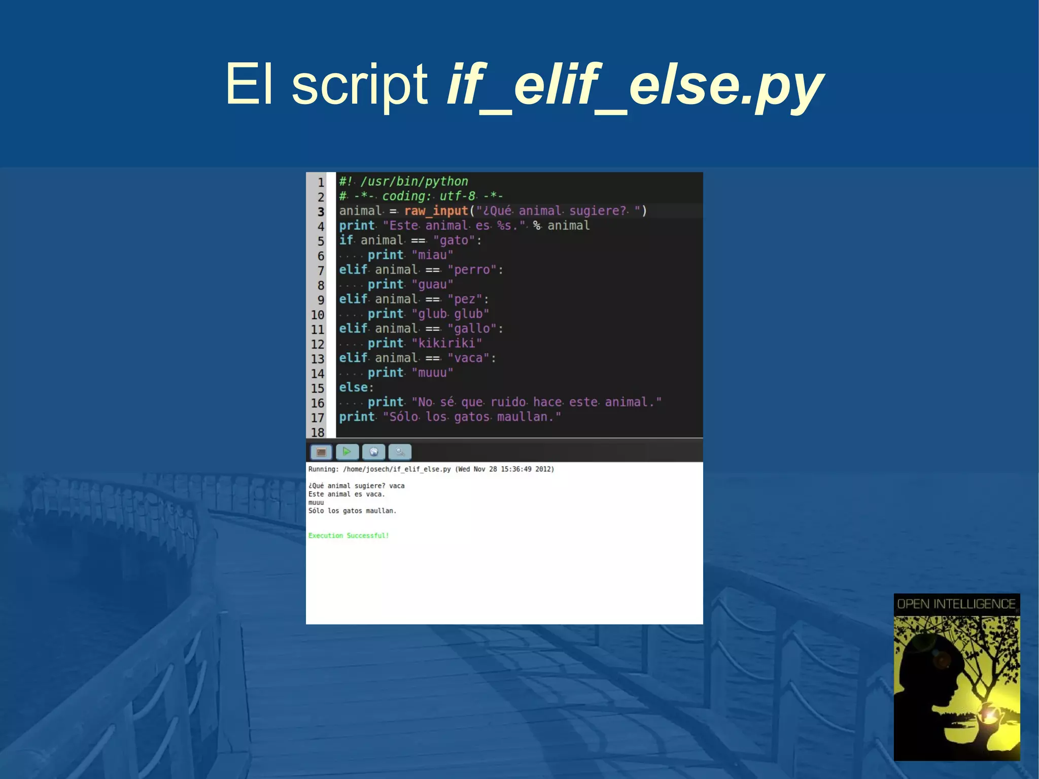 El script if_elif_else.py

 