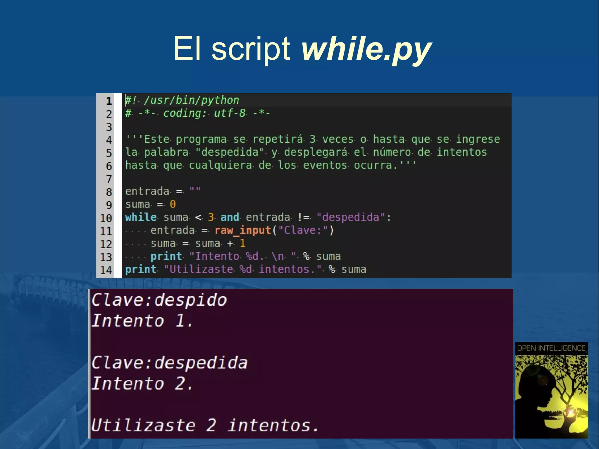 El script while.py

 