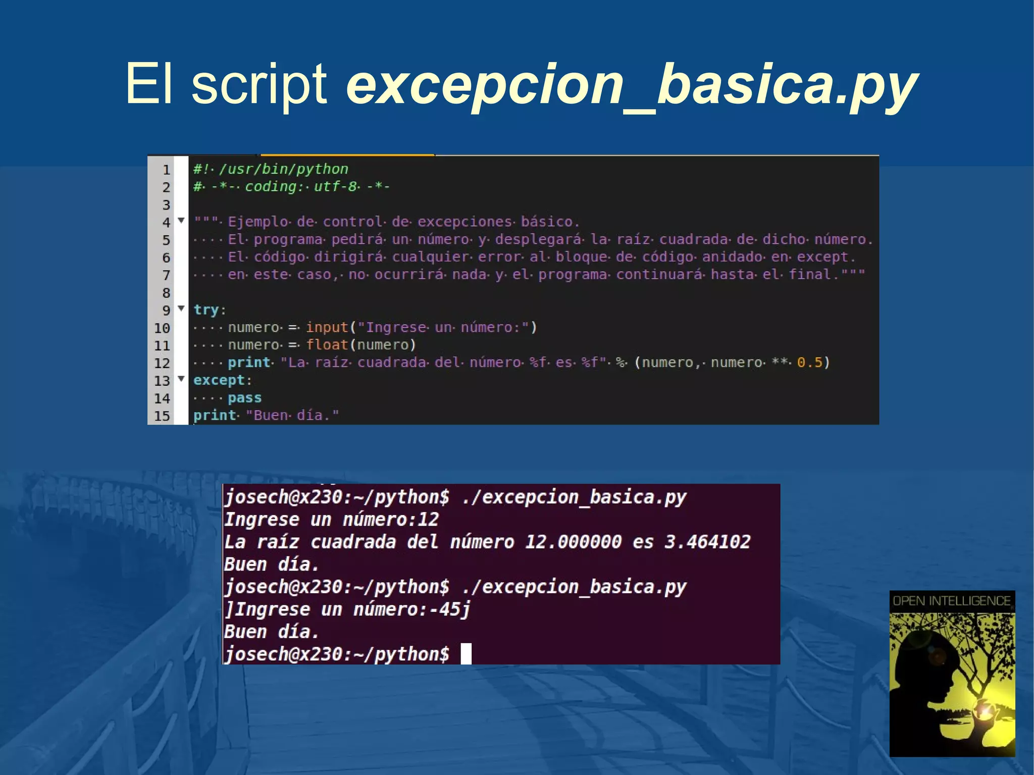 El script excepcion_basica.py

 