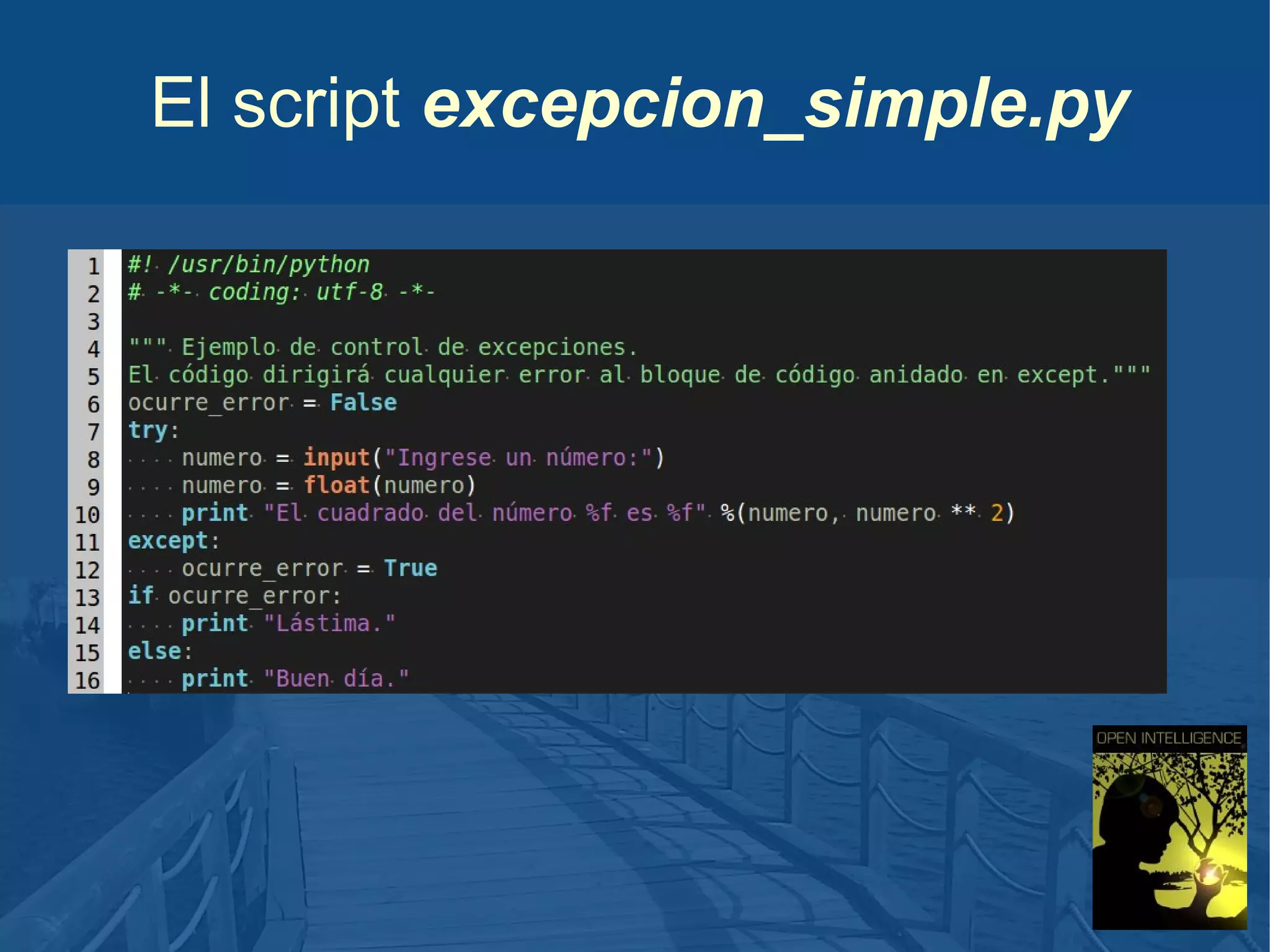 El script excepcion_simple.py

 