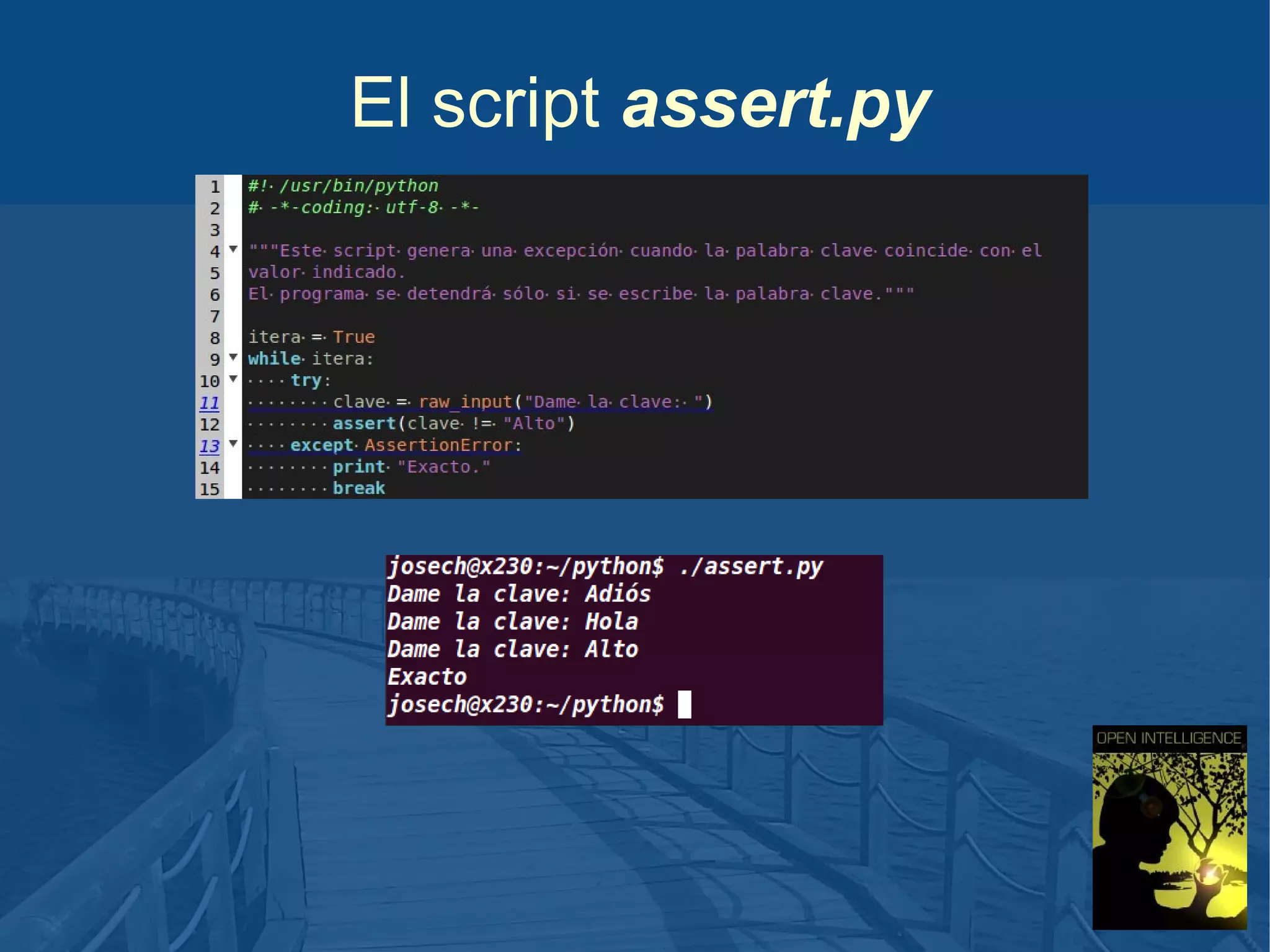 El script assert.py

 