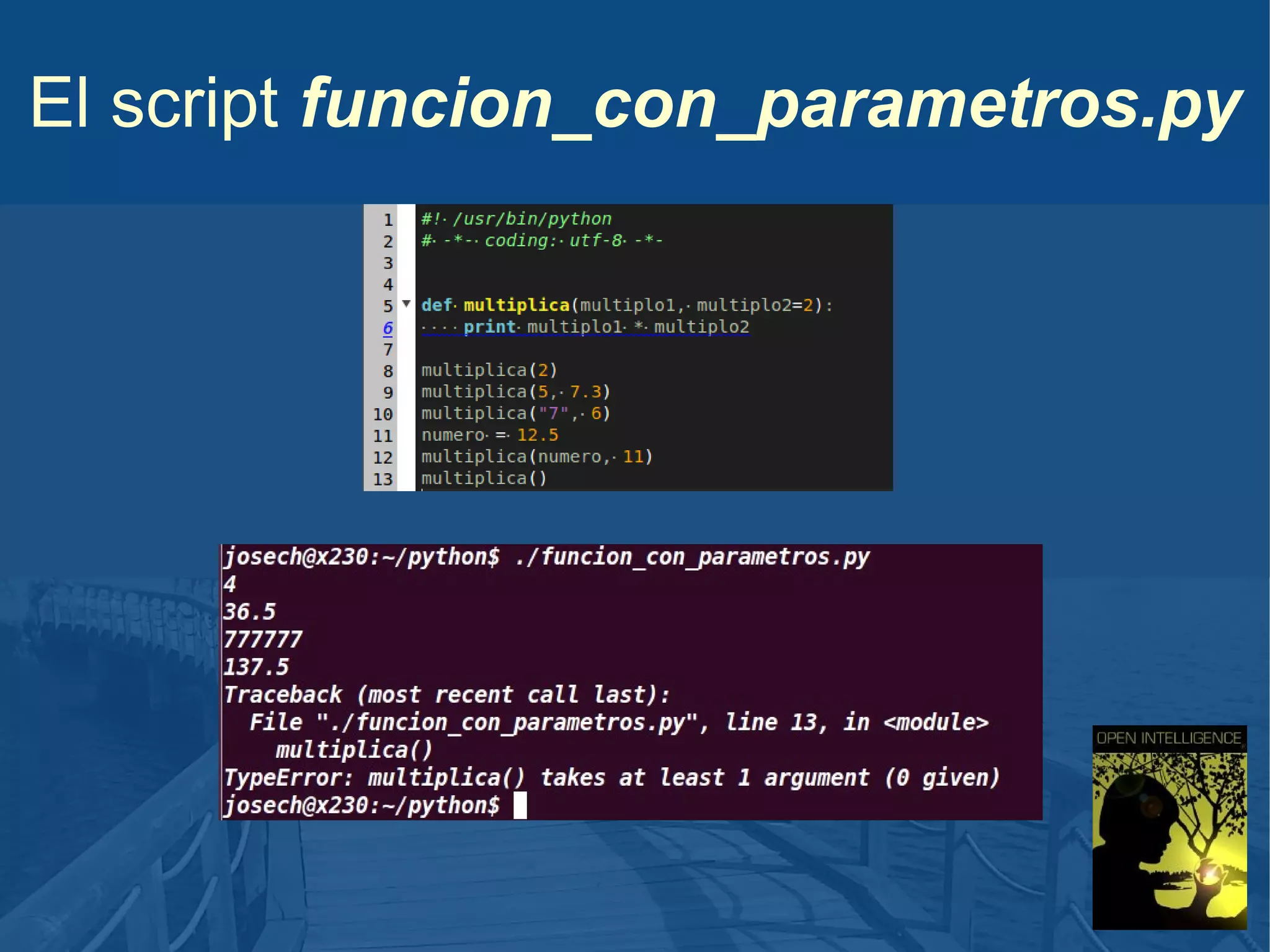 El script funcion_con_parametros.py

 