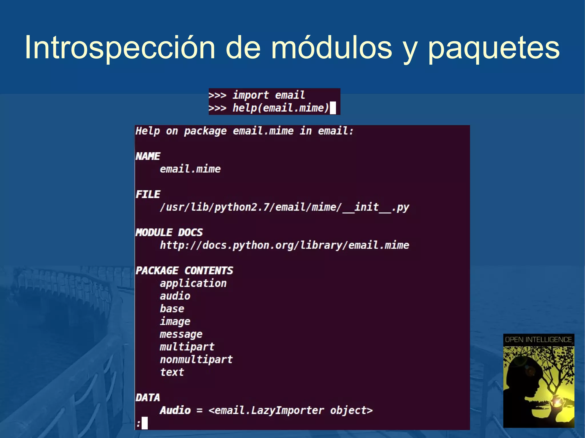 Introspección de módulos y paquetes

 