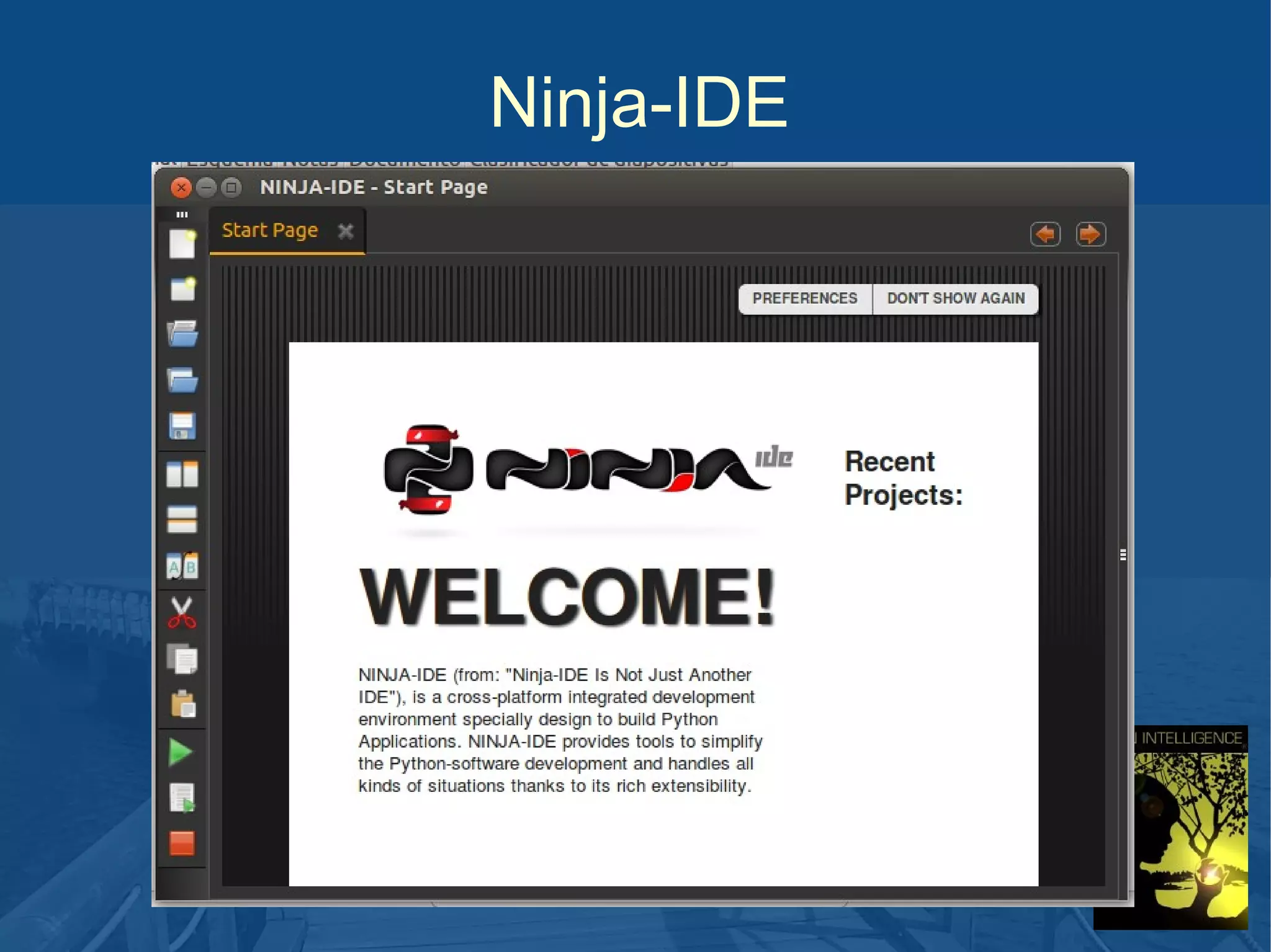 Ninja-IDE

 