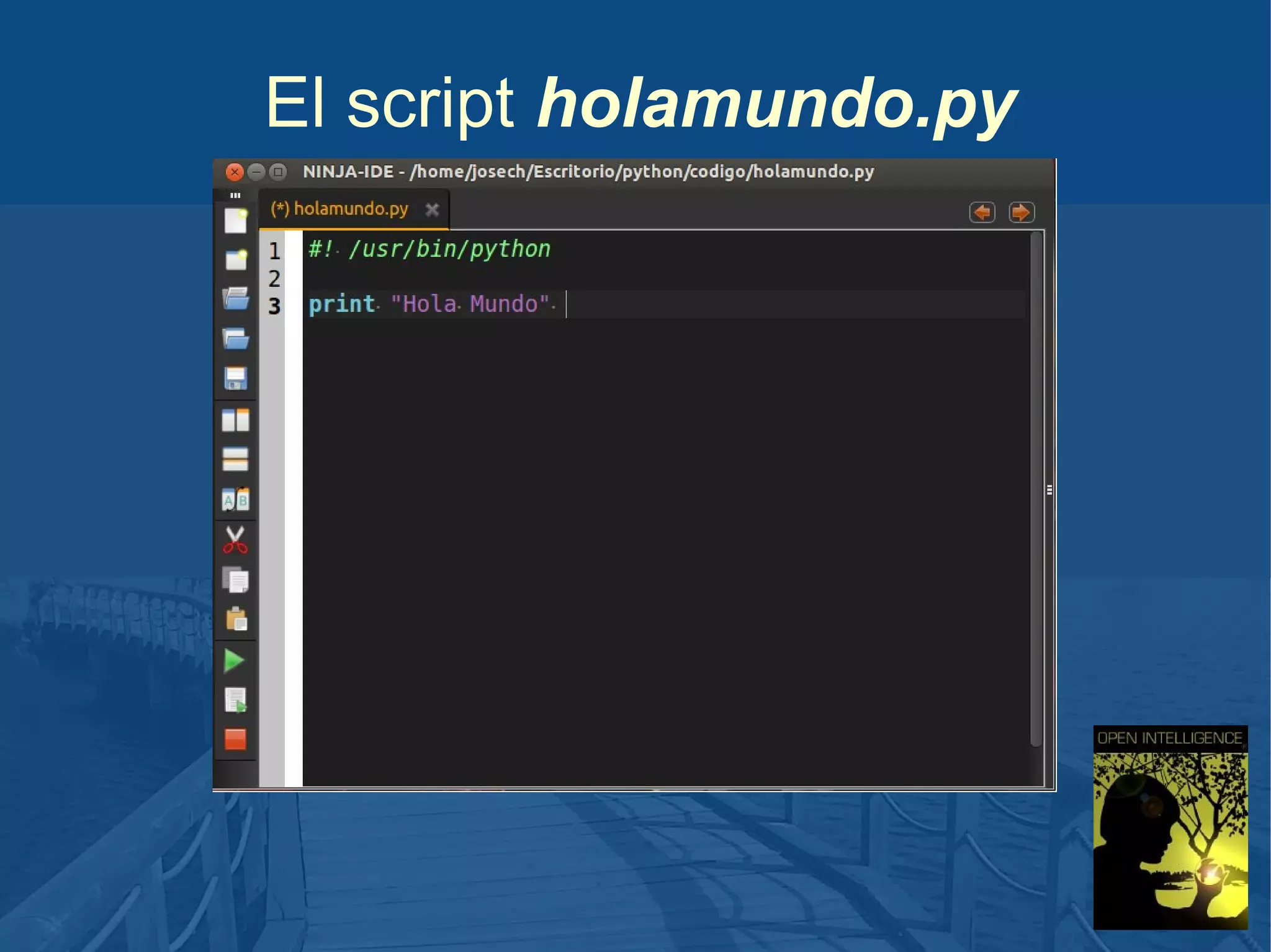 El script holamundo.py

 
