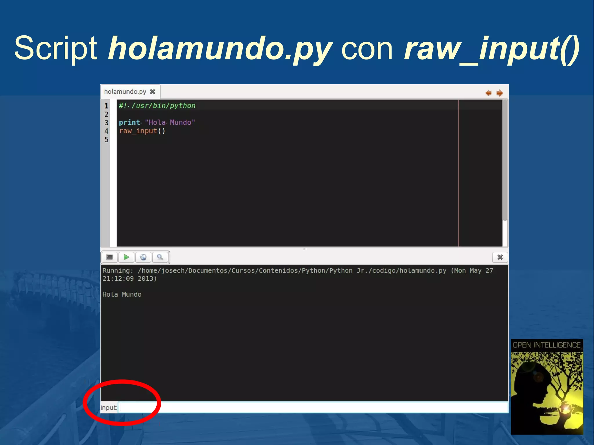 Script holamundo.py con raw_input()

 