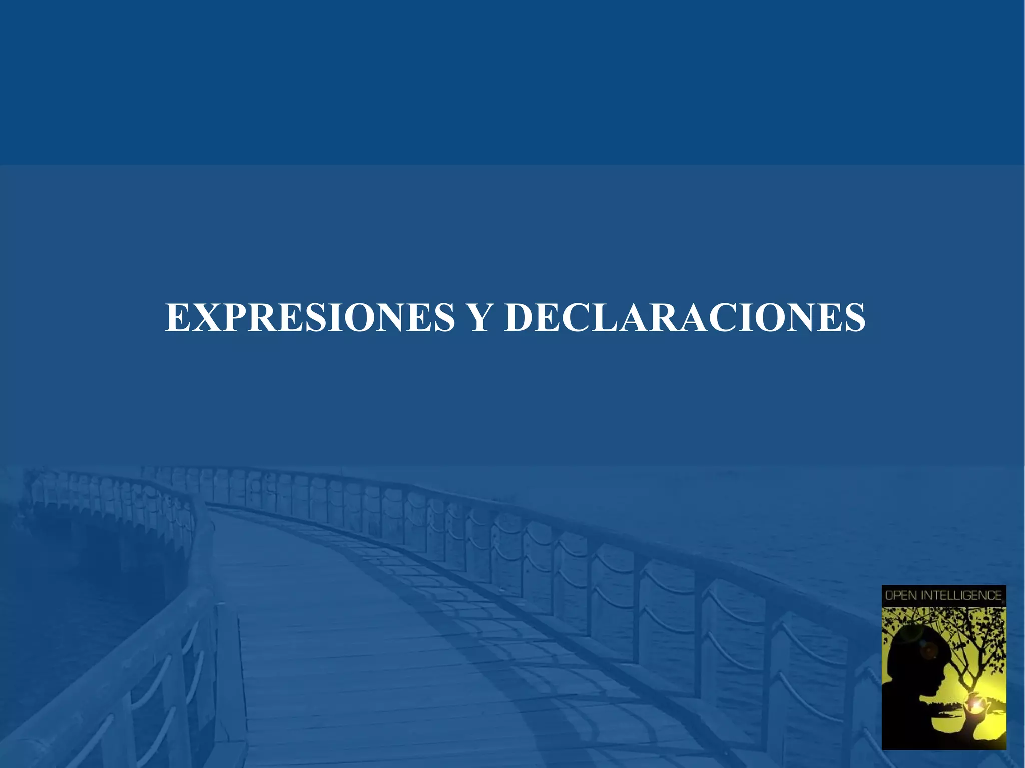 EXPRESIONES Y DECLARACIONES

 