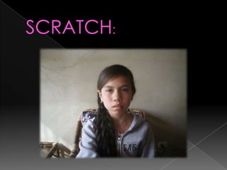 Programador y sus caracteristicas