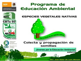 Jóvenes por la Educación Ambiental
seberon
Programa de
Educación Ambiental
Colecta y propagación de
semillas
ESPECIES VEGETALES NATIVAS
M.C. José Heber De León Monzón
 