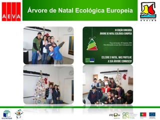 Árvore de Natal Ecológica Europeia
 