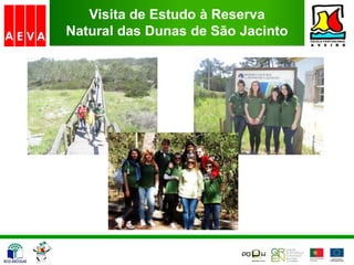 Visita de Estudo à Reserva
Natural das Dunas de São Jacinto
 