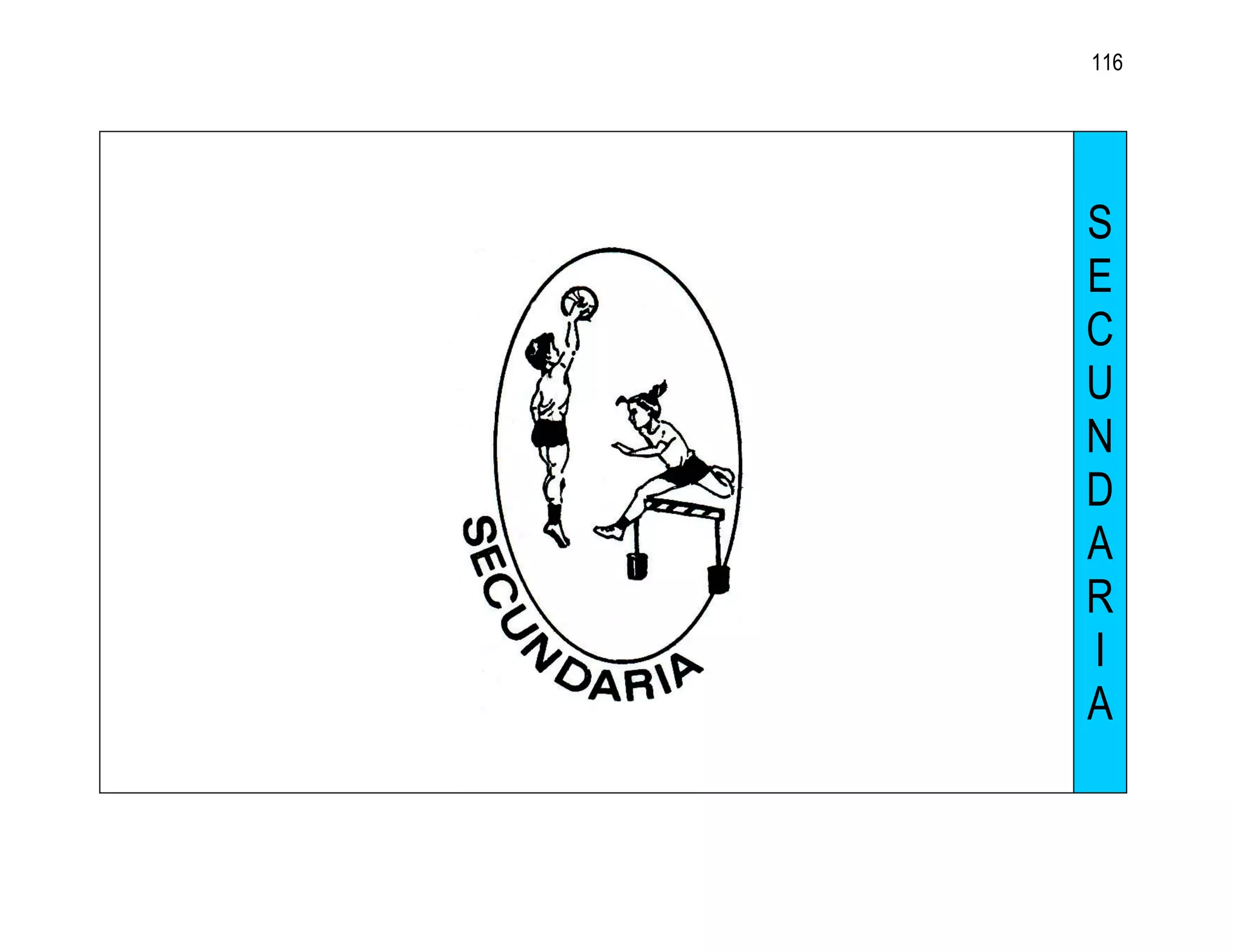 116




S
E
C
U
N
D
A
R
I
A
 
