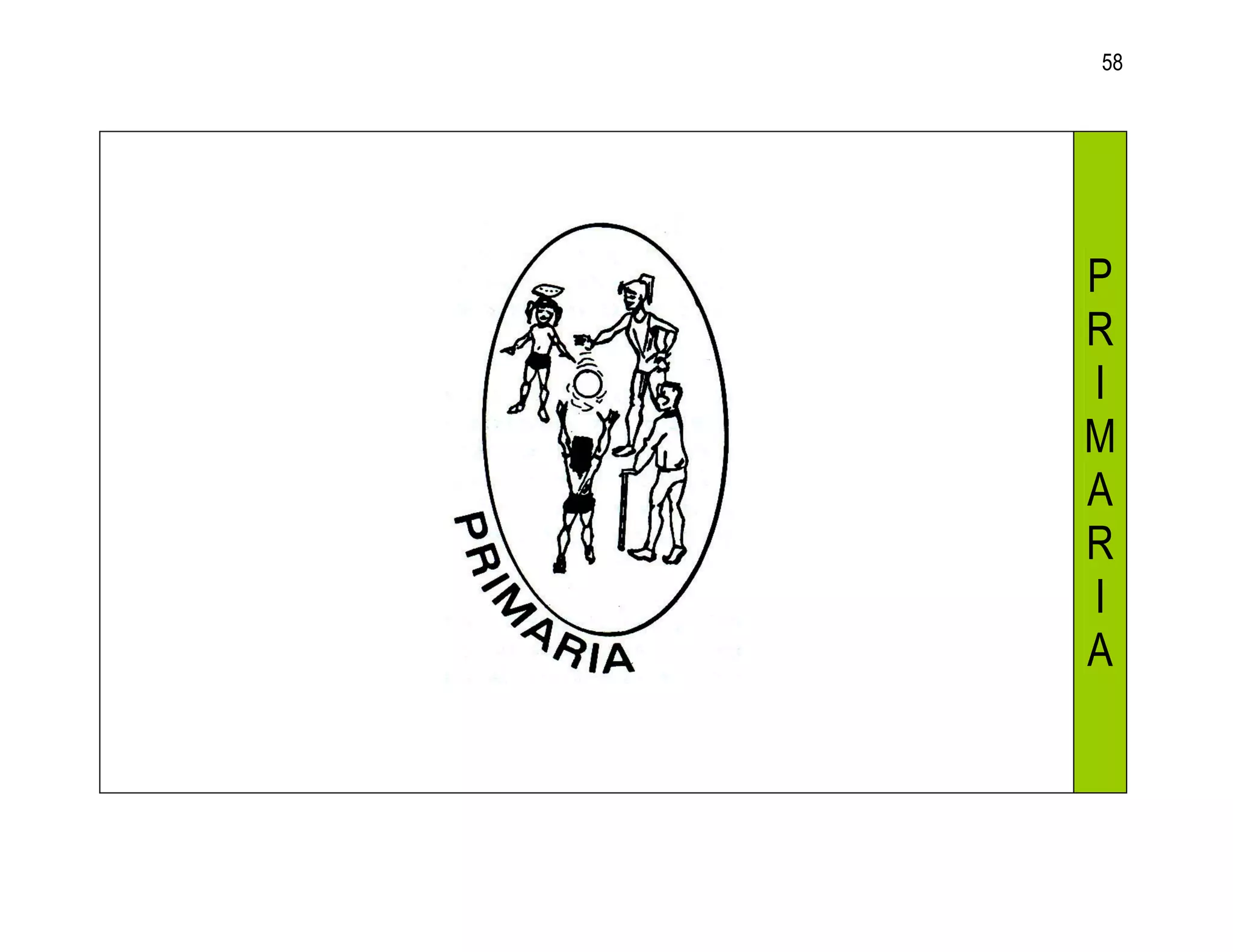 58




P
R
I
M
A
R
I
A
 