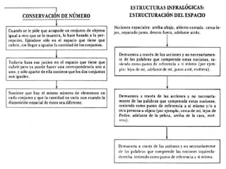Programa educacion preescolar 1981