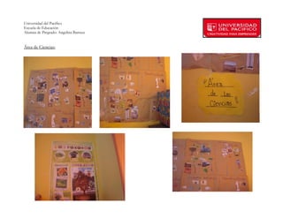 Universidad del Pacífico
Escuela de Educación
Alumna de Pregrado: Angelina Barraza
 
 
Área de Ciencias:




        
 