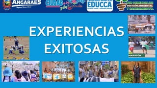 EXPERIENCIAS
EXITOSAS
 