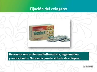 Fijación del colageno




Buscamos una acción antiinflamatoria, regenerativa
y antioxidante. Necesaria para la síntesis de colágeno.


                                                          7
 