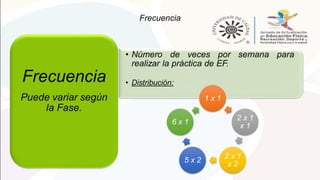 Frecuencia
• Número de veces por semana para
realizar la práctica de EF.
• Distribución:
Frecuencia
Puede variar según
la Fase.
1 x 1
2 x 1
x 1
2 x 1
x 2
5 x 2
6 x 1
 