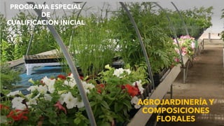 AGROJARDINERÍA Y
COMPOSICIONES
FLORALES
PROGRAMA ESPECIAL
DE
CUALIFICACIÓN INICIAL
 