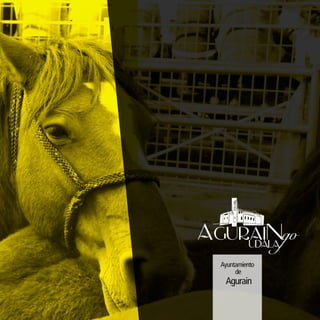 Programa fiestas 2015