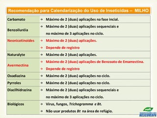 →
→
→
→ Depende de registro
→
→
→ Depende de registro
→
→
→
→
→
Avermectina
no máximo de 3 aplicações no ciclo.
Biológicos
Diacilhidrazina Máximo de 2 (duas) aplicações sequenciais e
Vírus, fungos, Trichogramma e Bt.
Máximo de 2 (duas) aplicações de Benzoato de Emamectina.
Oxadiazina Máximo de 2 (duas) aplicações no ciclo.
Pyrroles Máximo de 2 (duas) aplicações no ciclo.
Não usar produtos Bt na área de refúgio.
Carbamato
Máximo de 2 (duas) aplicações sequenciais e
no máximo de 3 aplicações no ciclo.
Naturalyte Máximo de 2 (duas) aplicações.
Máximo de 2 (duas) aplicações na fase incial.
Neonicotinoides Máximo de 2 (duas) aplicações.
Benzoiluréia
Recomendação para Calendarização do Uso de Inseticidas – MILHO
 