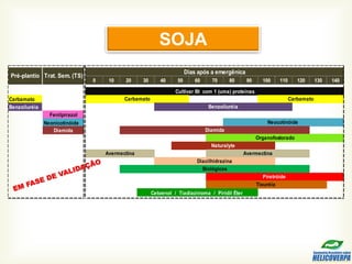 0 10 20 30 40 50 60 70 80 90 100 110 120 130 140
Carbamato
Benzoiluréia
Fenilpirazol
Neonicotinóide
Diamida
Naturalyte
Diacilhidrazina
Biológicos
Piretróide
Cultivar Bt com 1 (uma) proteínas
Carbamato Carbamato
Benzoiluréia
Pré-plantio Trat. Sem. (TS)
Dias após a emergênica
Neocotinóide
Diamida
Organofostorado
Avermectina Avermectina
Tiouréia
Cetoenol / Tiadiazinoma / Piridil Éter
SOJA
 